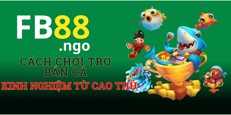 Cách Chơi Trò Bắn Cá - Kinh Nghiệm Bắn Cá Hiệu Quả Từ Cao Thủ