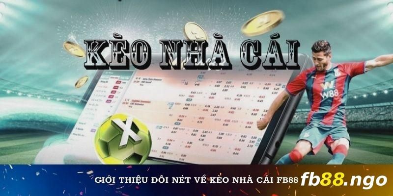 Sơ lược về kèo nhà cái Fb88 dành cho tân thủ